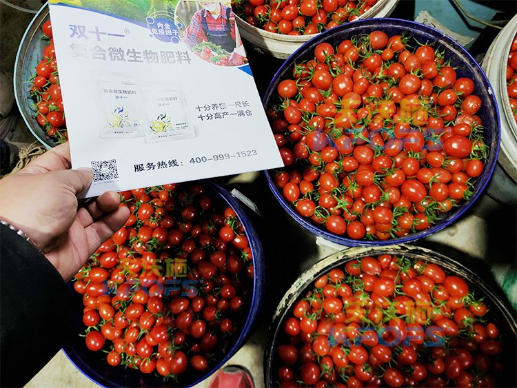 夫沃施進(jìn)口肥怎么樣？