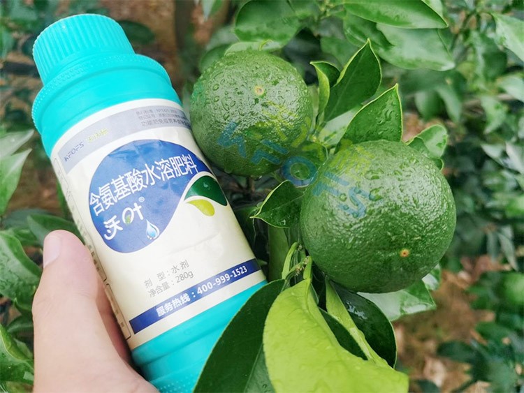 柑橘膨果轉(zhuǎn)色期用什么水溶肥好？