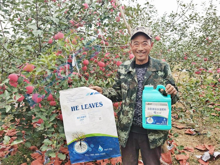 蘋果樹用什么生根肥好？看看這款！