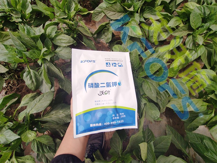 磷酸二氫鉀廠家，這家不要錯(cuò)過！