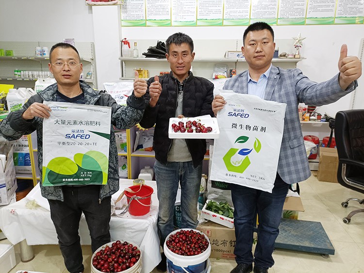 水溶肥哪家好？看完這篇不疑惑！