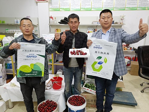 水溶肥哪家好？看完這篇不疑惑！