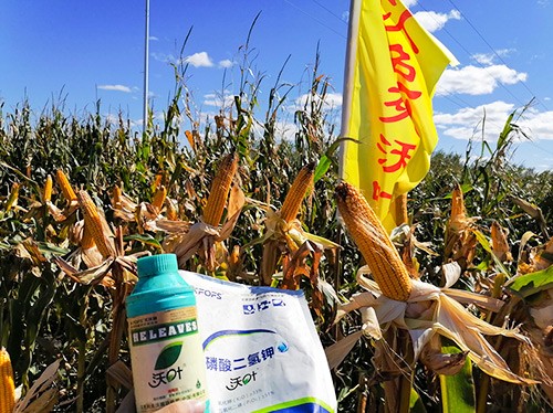 玉米葉面肥哪個(gè)品牌好？