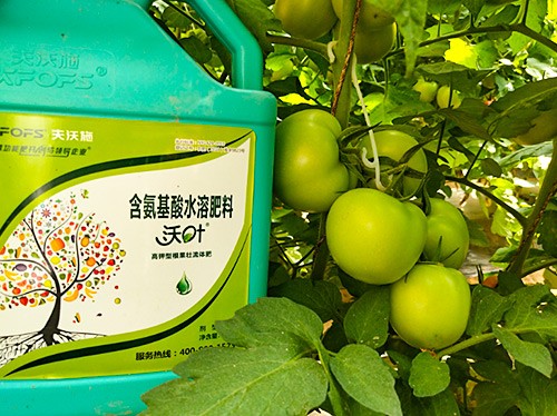 蔬菜沖施肥哪個(gè)品牌好？經(jīng)驗(yàn)實(shí)談