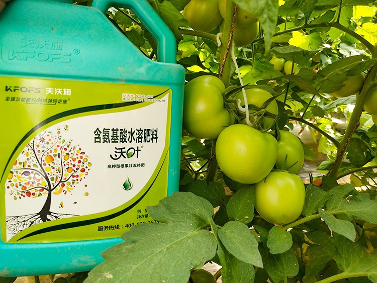 蔬菜沖施肥哪個品牌好？經(jīng)驗實談