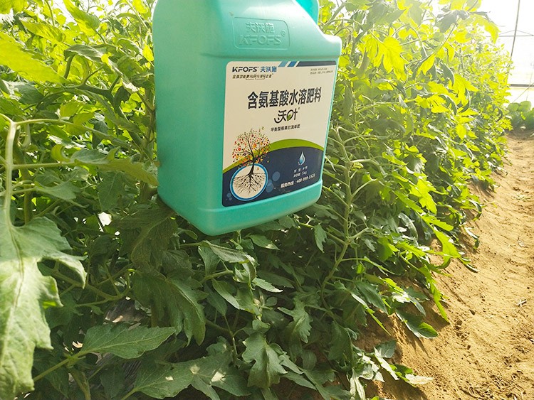 蔬菜沖施肥哪個品牌好？經(jīng)驗實談
