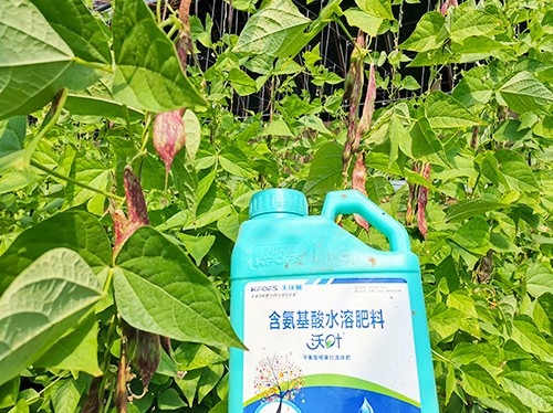 進(jìn)口水溶肥，懂行的人都這么選！