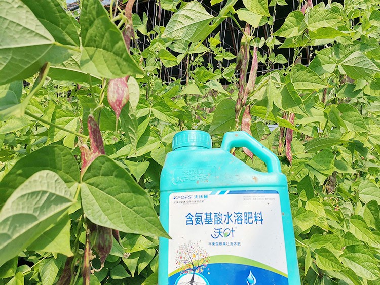 進(jìn)口水溶肥，懂行的人都這么選！