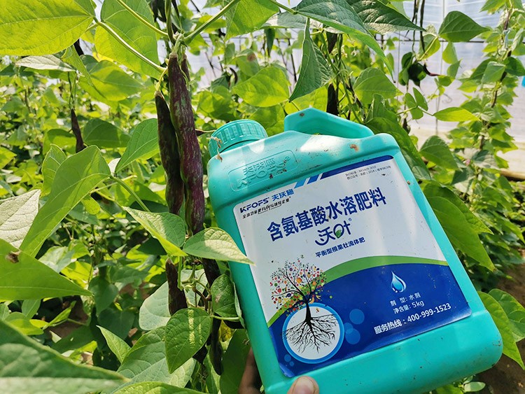 進(jìn)口水溶肥，懂行的人都這么選！