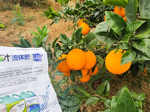 好的水溶肥是什么生產(chǎn)工藝？