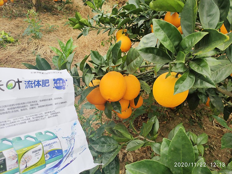 好的水溶肥是什么生產(chǎn)工藝？