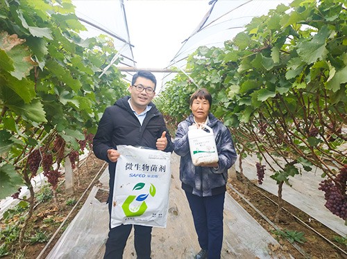 水溶肥廠家夫沃施都說好？好在哪？