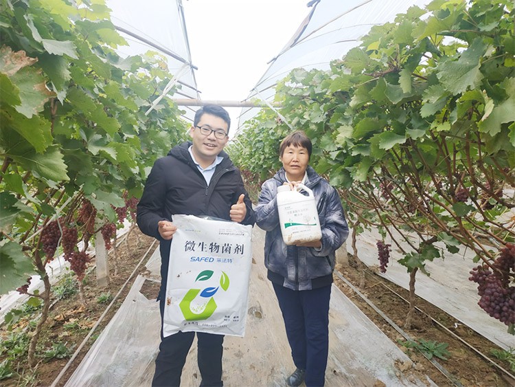 水溶肥廠家夫沃施都說好？好在哪？