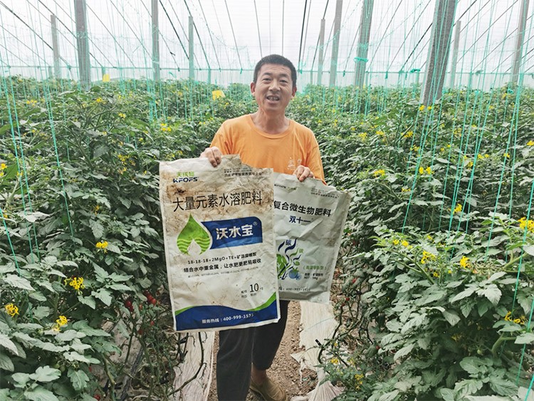 水溶肥廠家夫沃施都說好？好在哪？