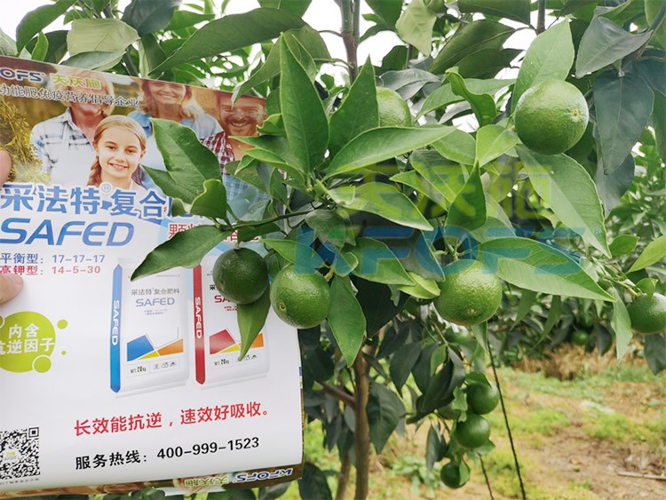 進(jìn)口水溶肥怎么選？參考這三點(diǎn)就夠了！