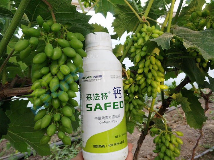 鈣肥什么品牌的比較好？