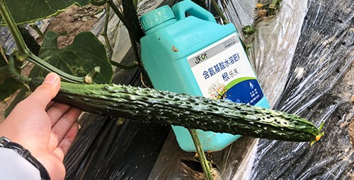 生根劑要安全不傷根，就選這個(gè)牌子！