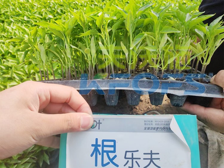 生根劑要安全不傷根，就選這個(gè)牌子！