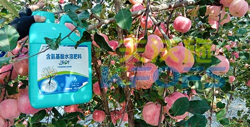 沖施肥怎么去沖施？什么牌子的好？