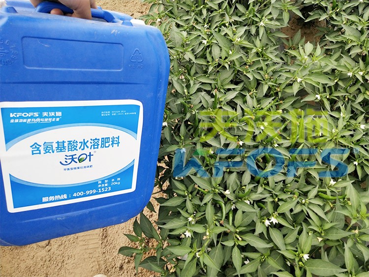 沖施肥怎么去沖施？什么牌子的好？