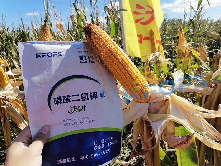 進(jìn)口磷酸二氫鉀哪個品牌好？