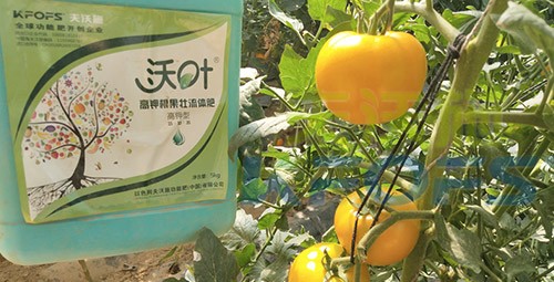 水溶肥的作用，不得不說太強(qiáng)大了！