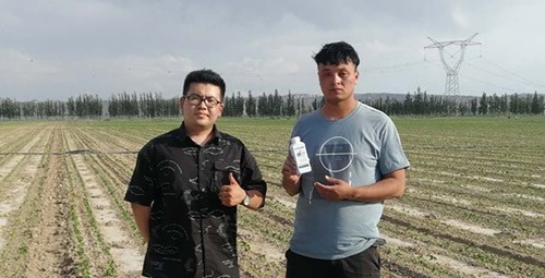 藥害還能恢復(fù)生長嗎？這篇告訴你！