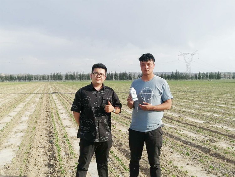 藥害還能恢復(fù)生長(zhǎng)嗎？這篇告訴你！
