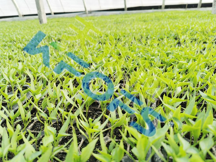 微生物菌劑廠家哪家好？