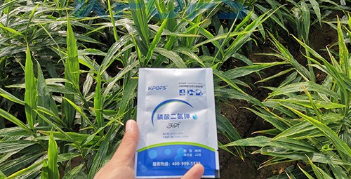 磷酸二氫鉀選這個(gè)品牌，不會(huì)錯(cuò)！