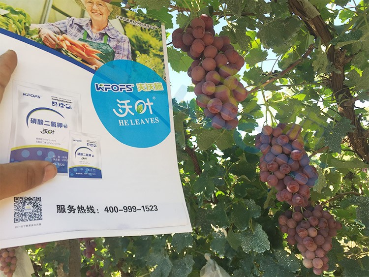進(jìn)口磷酸二氫鉀和國(guó)產(chǎn)有什么區(qū)別？