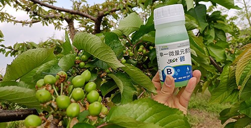 硼肥哪個(gè)品牌的好？這款不要錯(cuò)過(guò)！