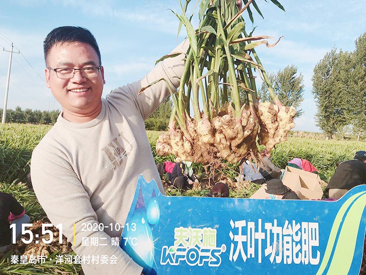 進(jìn)口水溶肥推薦你選沃葉，這就是原因！