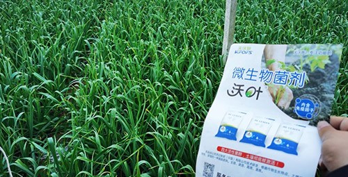 微生物菌劑選它，放心又舒心！