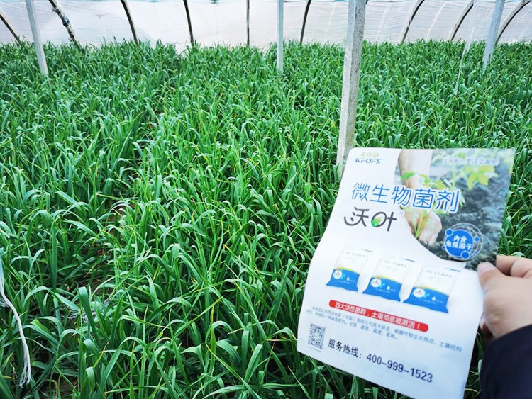 微生物菌劑選它，放心又舒心！