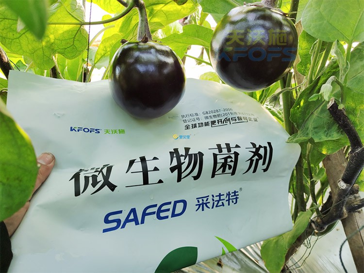 進口水溶肥蔬菜上怎么用效果好？