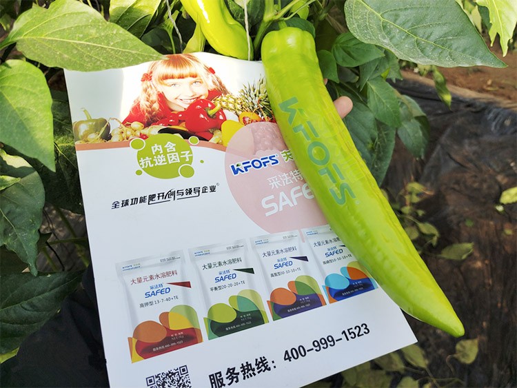 進口水溶肥蔬菜上怎么用效果好？