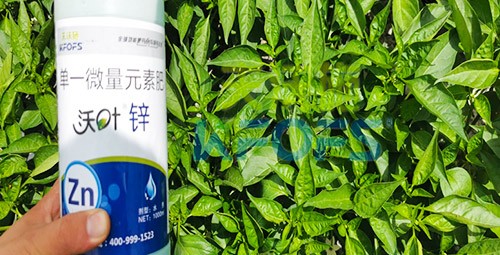 鋅肥是什么肥料？辣椒用有什么好處？