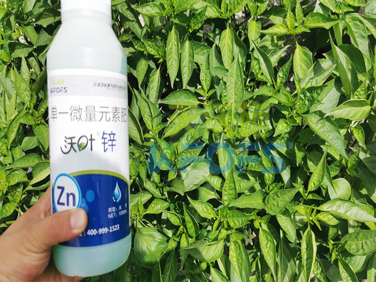 鋅肥是什么肥料？辣椒用有什么好處？