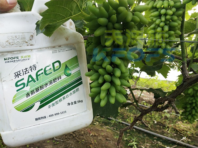葡萄水溶肥品牌哪個好？案例告訴你！