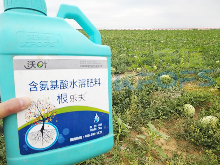 西瓜用什么進(jìn)口水溶肥好？