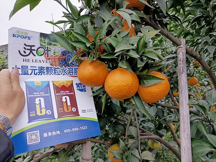 果樹水溶肥什么牌子好？