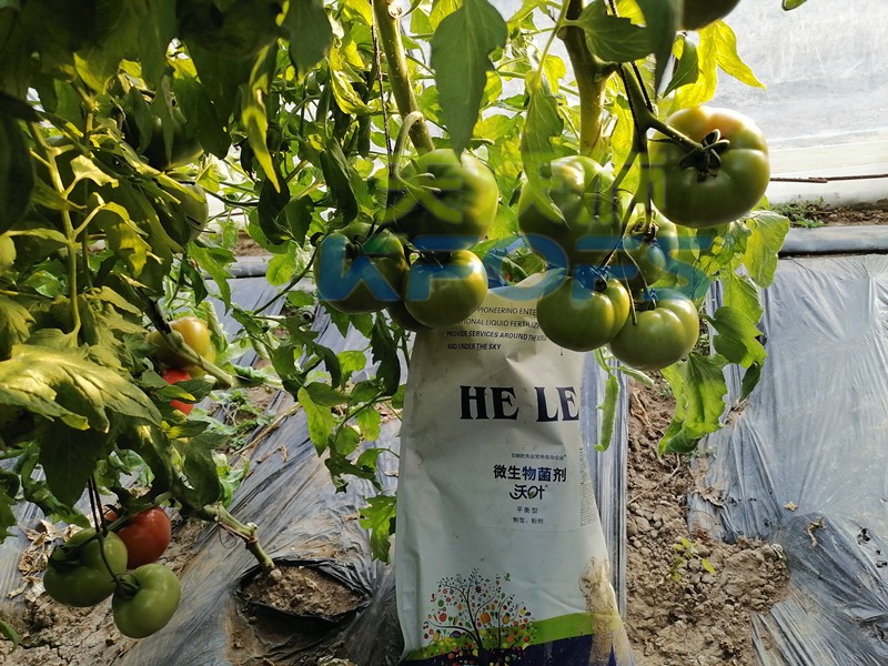 進(jìn)口水溶肥不知道這個(gè)牌子，你虧大了！