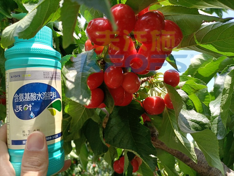這款水溶肥，種植戶都愿意長期使用！