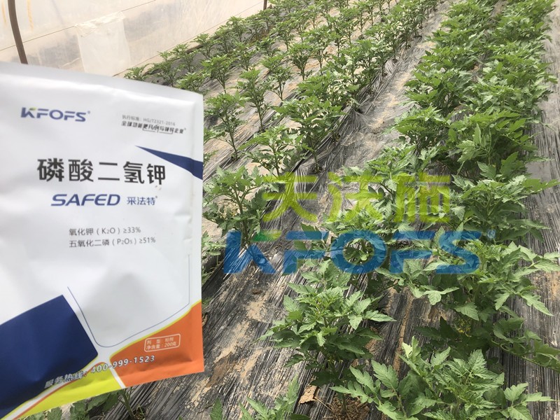好的磷酸二氫鉀是什么樣的？