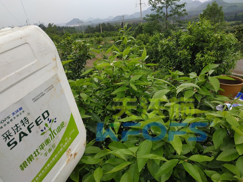 水溶肥的合理價格究竟如何判斷？這幾點(diǎn)很重要！