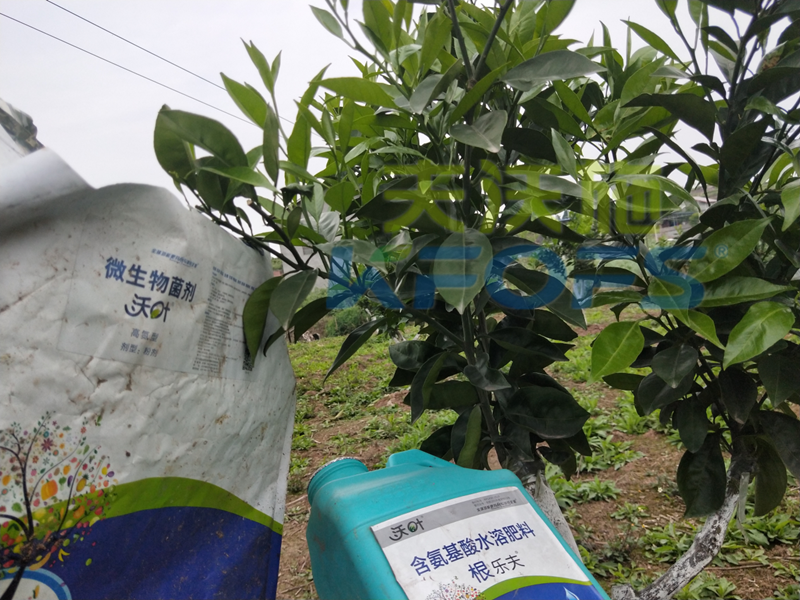 春季果樹(shù)用什么肥料好？看看您用對(duì)了嗎？