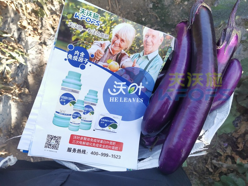 葉面肥哪個(gè)好？這款都說好