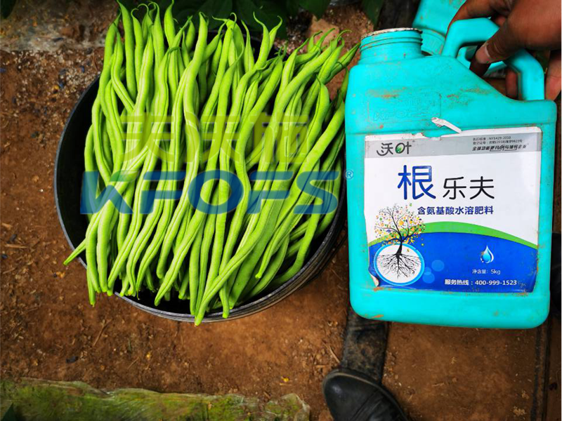 豆角用什么肥料產(chǎn)量高？效益好？
