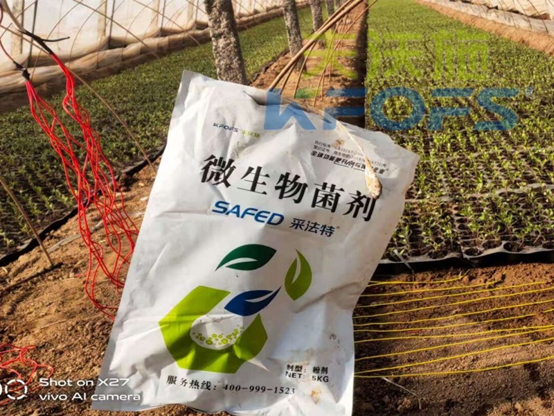 辣椒苗期用什么水溶肥長得好？
